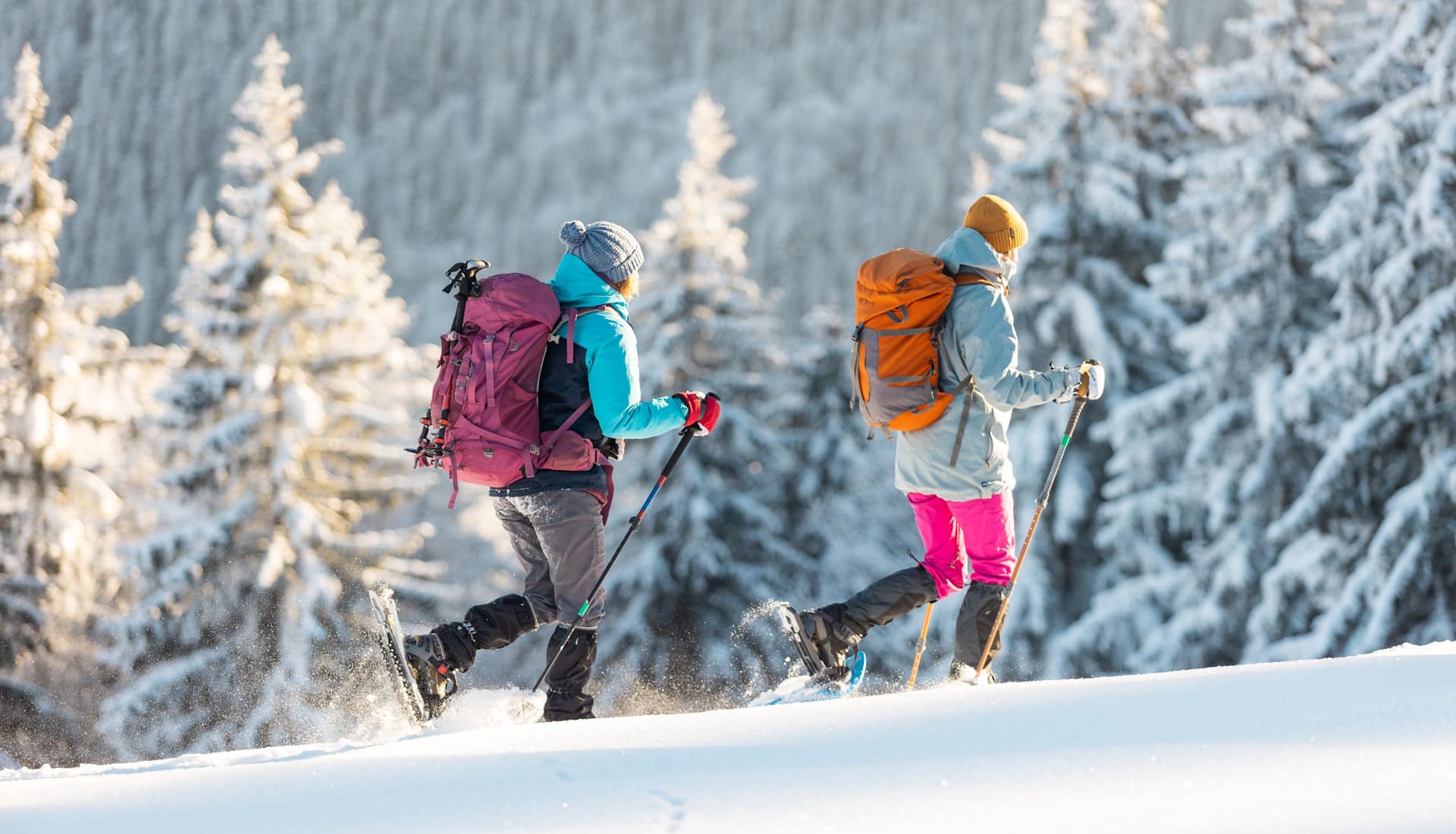 Winterwanderung Schneeschuh
