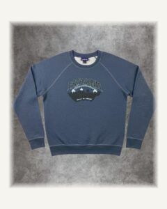 Sweatshirt mit Frontprint blau | Patagonia | M | Pullover